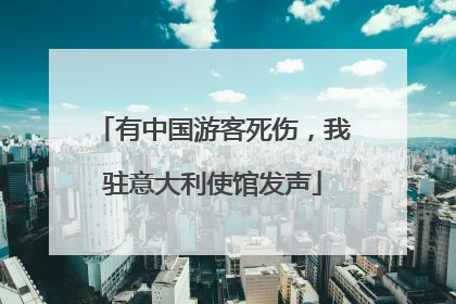 有中国游客死伤，我驻意大利使馆发声