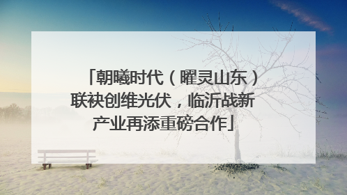 朝曦时代（曜灵山东）联袂创维光伏，临沂战新产业再添重磅合作