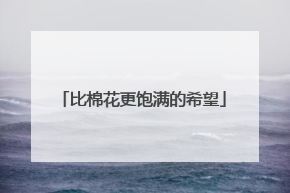 比棉花更饱满的希望