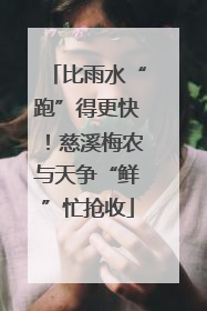 比雨水“跑”得更快！慈溪梅农与天争“鲜”忙抢收