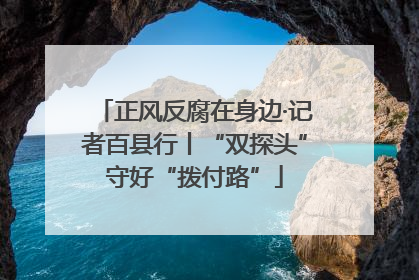 正风反腐在身边·记者百县行丨“双探头”守好“拨付路”