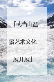 武当山盆景艺术文化展开展