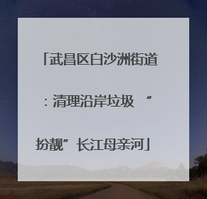 武昌区白沙洲街道：清理沿岸垃圾 “扮靓”长江母亲河