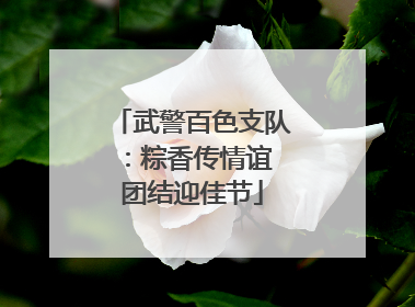 武警百色支队：粽香传情谊 团结迎佳节