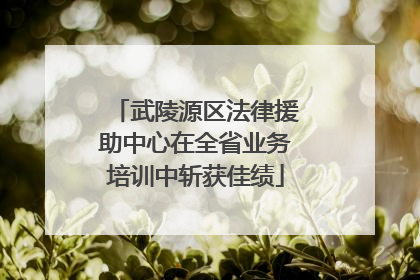 武陵源区法律援助中心在全省业务培训中斩获佳绩