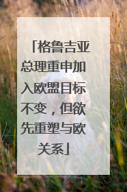 格鲁吉亚总理重申加入欧盟目标不变，但欲先重塑与欧关系