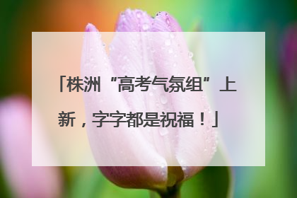 株洲“高考气氛组”上新，字字都是祝福！