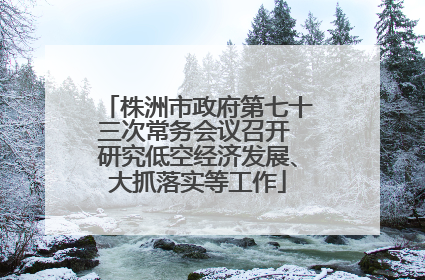 株洲市政府第七十三次常务会议召开 研究低空经济发展、大抓落实等工作