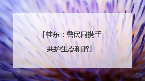 桂东：警民同携手 共护生态和谐