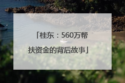 桂东：560万帮扶资金的背后故事