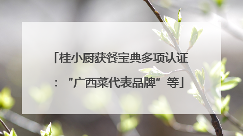 桂小厨获餐宝典多项认证：“广西菜代表品牌”等