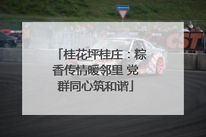 桂花坪桂庄：粽香传情暖邻里 党群同心筑和谐