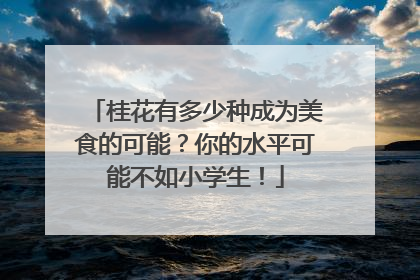 桂花有多少种成为美食的可能？你的水平可能不如小学生！