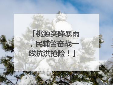 桃源突降暴雨，民辅警奋战一线抗洪抢险！