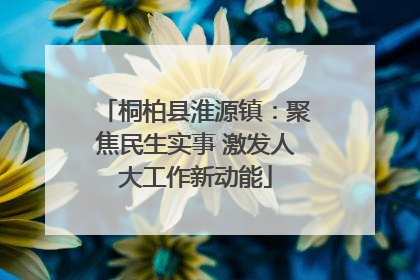 桐柏县淮源镇：聚焦民生实事 激发人大工作新动能
