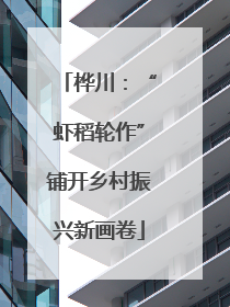 桦川：“虾稻轮作”铺开乡村振兴新画卷