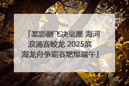 桨影翻飞决毫厘 海河浪涌赛蛟龙 2025滨海龙舟争霸赛燃爆端午