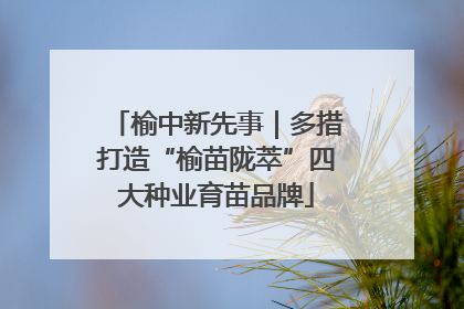 榆中新先事｜多措打造“榆苗陇萃”四大种业育苗品牌