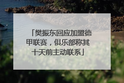 樊振东回应加盟德甲联赛，俱乐部称其十天前主动联系