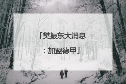 樊振东大消息：加盟德甲