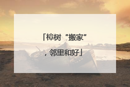 樟树“搬家”，邻里和好