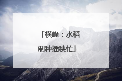 横峰：水稻制种插秧忙