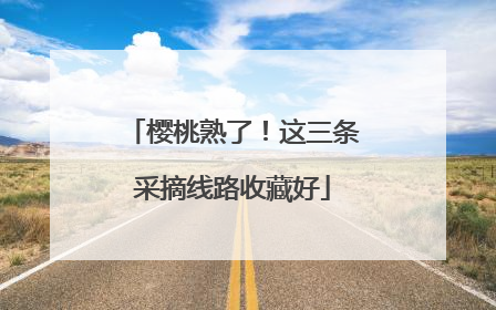 樱桃熟了！这三条采摘线路收藏好