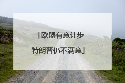 欧盟有意让步 特朗普仍不满意