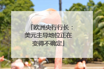 欧洲央行行长：美元主导地位正在变得不确定