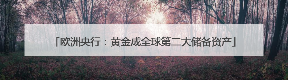 欧洲央行：黄金成全球第二大储备资产