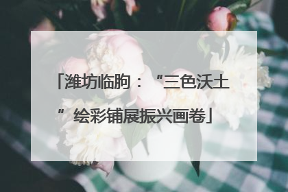 潍坊临朐：“三色沃土”绘彩铺展振兴画卷