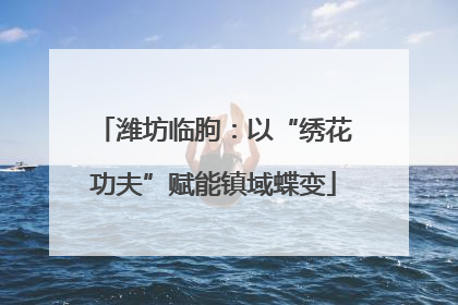 潍坊临朐：以“绣花功夫”赋能镇域蝶变