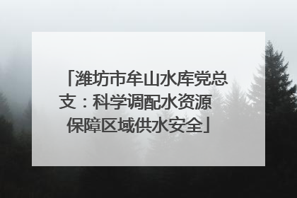 潍坊市牟山水库党总支：科学调配水资源 保障区域供水安全