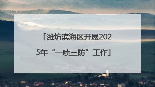 潍坊滨海区开展2025年“一喷三防”工作