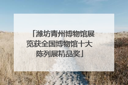 潍坊青州博物馆展览获全国博物馆十大陈列展精品奖