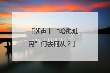 潮声丨“哈佛难民”何去何从？