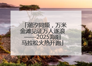 潮汐同频，万米金滩见证万人逐浪——2025海阳马拉松火热开跑