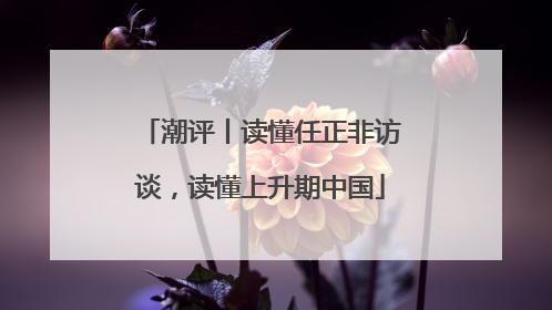 潮评丨读懂任正非访谈，读懂上升期中国