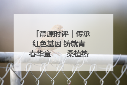 澧源时评｜传承红色基因 铸就青春华章——桑植热土上的青春长征