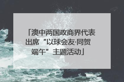 澳中两国政商界代表出席“以球会友·同贺端午”主题活动