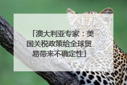 澳大利亚专家：美国关税政策给全球贸易带来不确定性