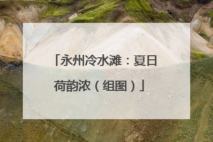 永州冷水滩：夏日荷韵浓（组图）