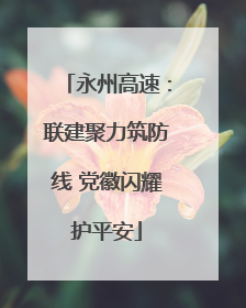 永州高速：联建聚力筑防线 党徽闪耀护平安