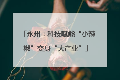 永州：科技赋能“小辣椒”变身“大产业”