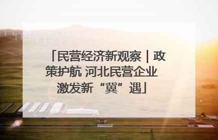 民营经济新观察｜政策护航 河北民营企业激发新“冀”遇