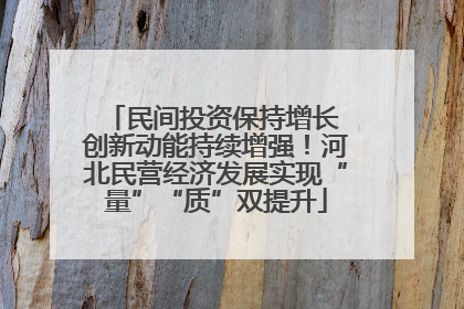 民间投资保持增长 创新动能持续增强！河北民营经济发展实现“量”“质”双提升