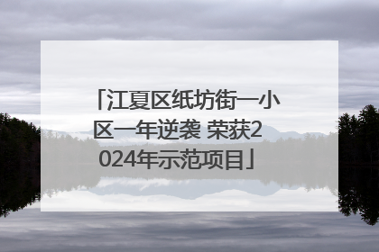 江夏区纸坊街一小区一年逆袭 荣获2024年示范项目