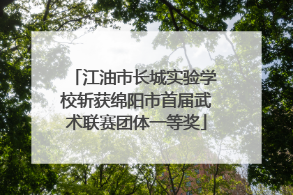 江油市长城实验学校斩获绵阳市首届武术联赛团体一等奖