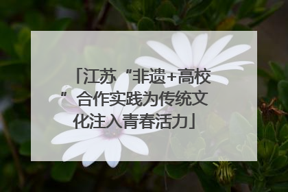 江苏“非遗+高校”合作实践为传统文化注入青春活力