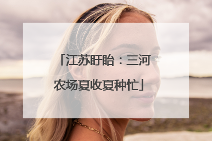 江苏盱眙：三河农场夏收夏种忙